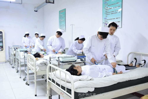 河南人力资源信息咨询服务指南与图片资源