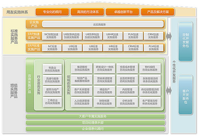 实施服务与信息咨询服务 双轮驱动的企业价值提升